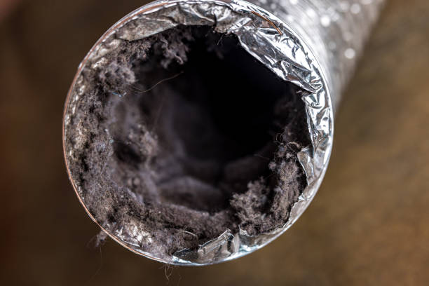 Best Affordable Air Duct Cleaning  in Tehaleh, WA