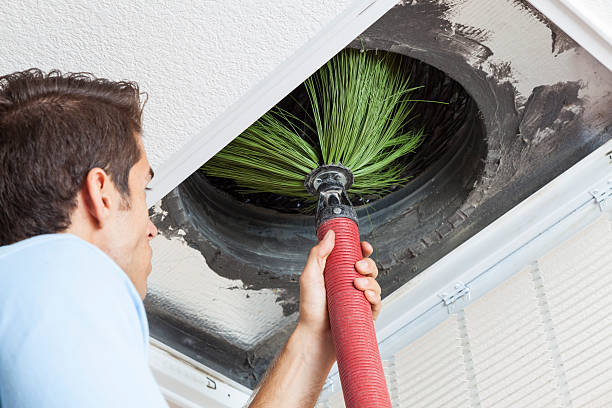 Best Local Air Duct Cleaning Services  in Tehaleh, WA